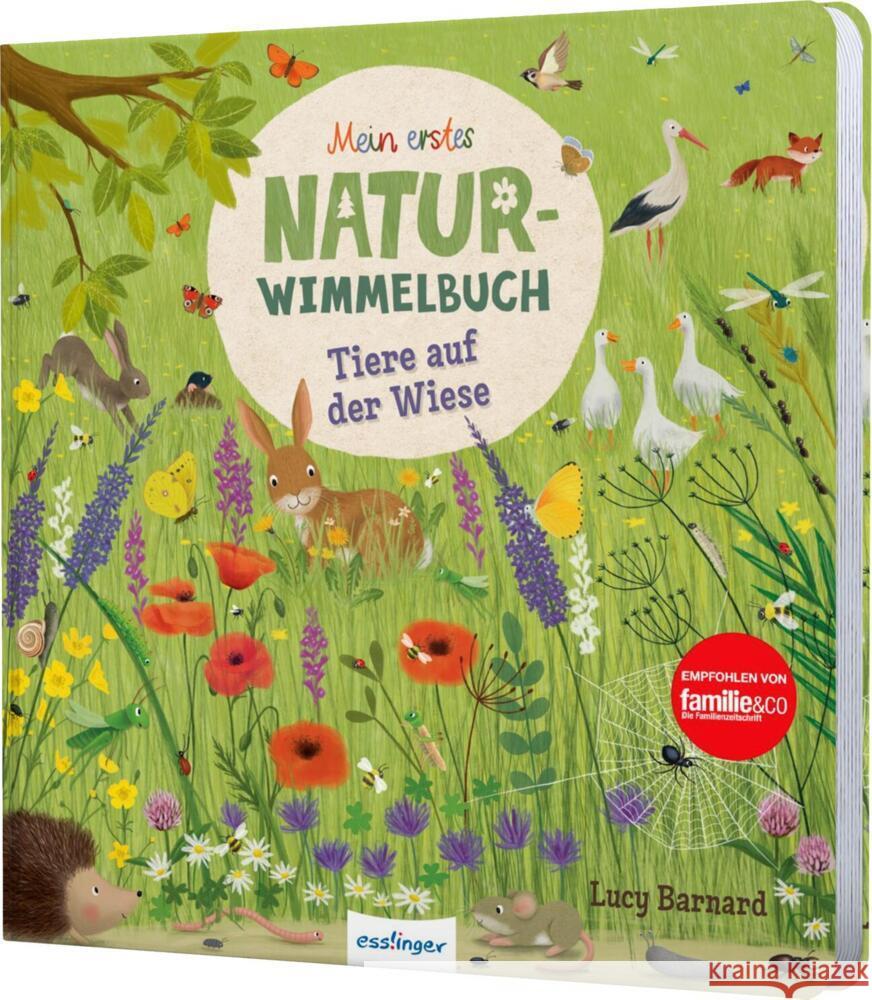 Mein erstes Natur-Wimmelbuch: Tiere auf der Wiese Lotz, Katharina 9783480237333 Esslinger in der Thienemann-Esslinger Verlag  - książka