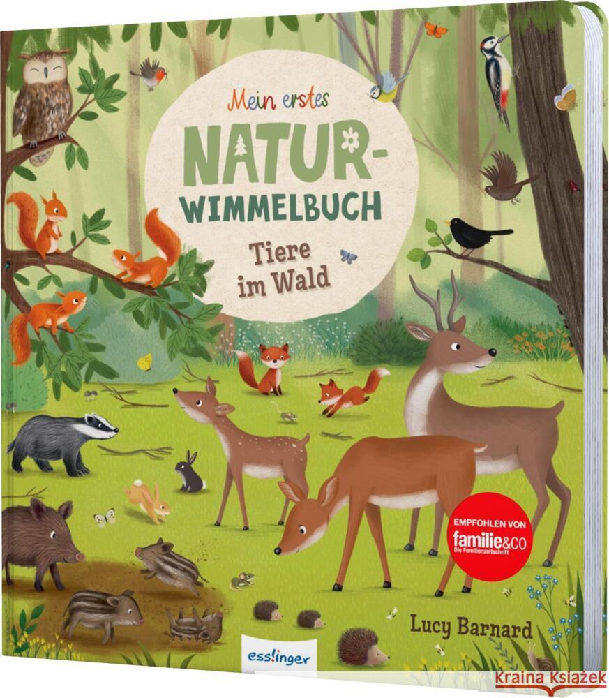 Mein erstes Natur-Wimmelbuch: Tiere im Wald Schumann, Sibylle 9783480237326 Esslinger in der Thienemann-Esslinger Verlag  - książka