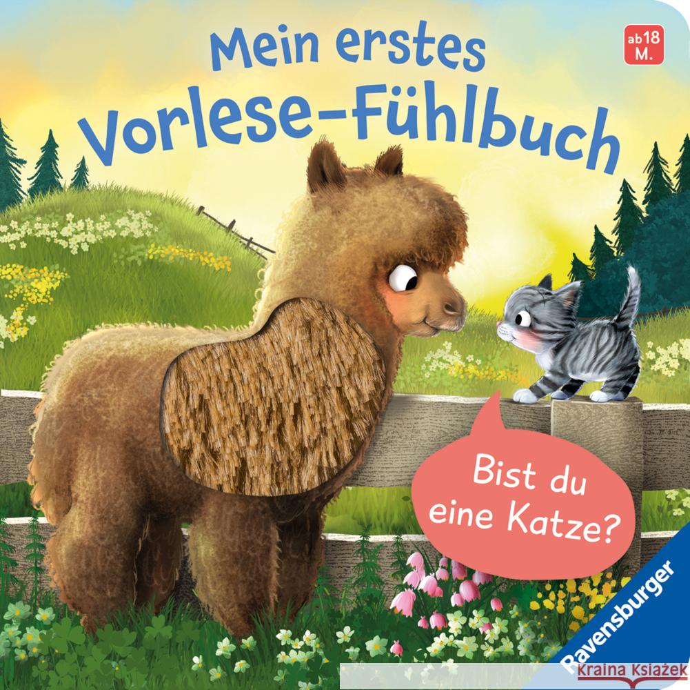 Mein erstes Vorlese-Fühlbuch - Bist du eine Katze? Orso, Kathrin Lena 9783473421251 Ravensburger Verlag - książka
