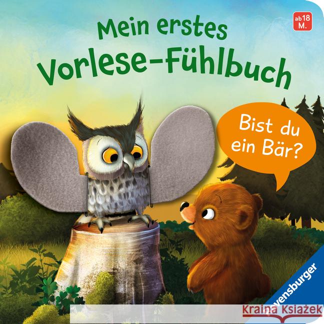 Mein erstes Vorlese-Fühlbuch: Bist du ein Bär? Orso, Kathrin Lena 9783473419258 Ravensburger Verlag - książka
