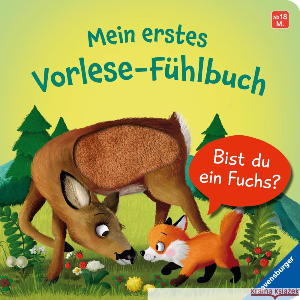 Mein erstes Vorlese-Fühlbuch: Bist du ein Fuchs? Orso, Kathrin Lena 9783473416639 Ravensburger Verlag - książka