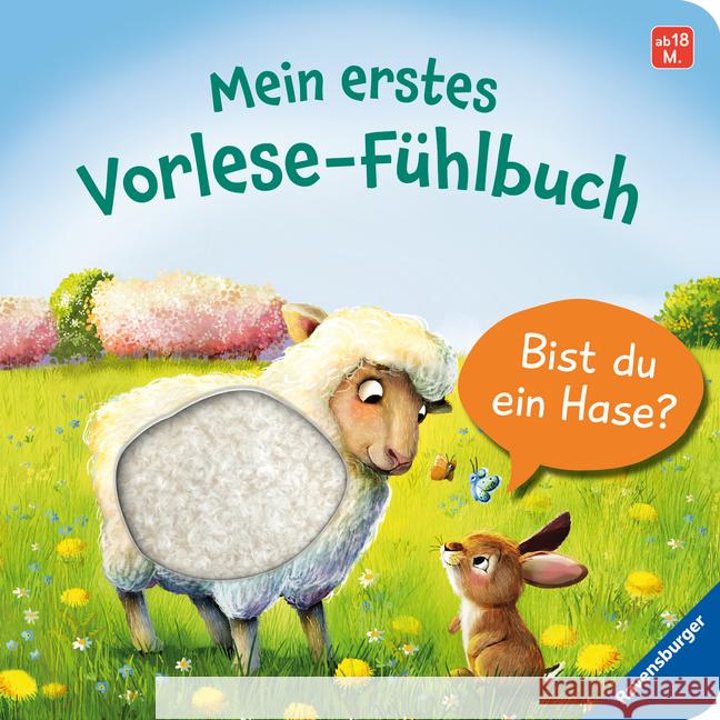 Mein erstes Vorlese-Fühlbuch: Bist du ein Hase? Orso, Kathrin Lena 9783473416875 Ravensburger Verlag - książka