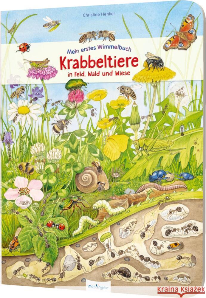 Mein erstes Wimmelbuch: Krabbeltiere in Feld, Wald und Wiese  9783480236855 Esslinger in der Thienemann-Esslinger Verlag  - książka