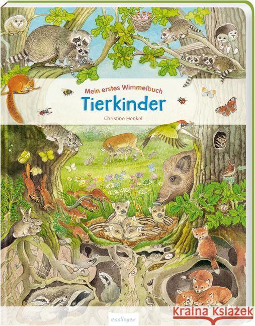 Mein erstes Wimmelbuch: Tierkinder  9783480235445 Esslinger in der Thienemann-Esslinger Verlag  - książka