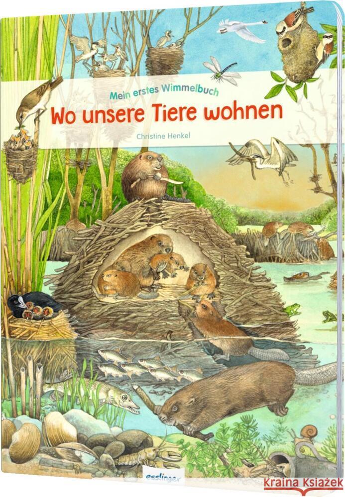 Mein erstes Wimmelbuch: Wo unsere Tiere wohnen  9783480237630 Esslinger in der Thienemann-Esslinger Verlag  - książka