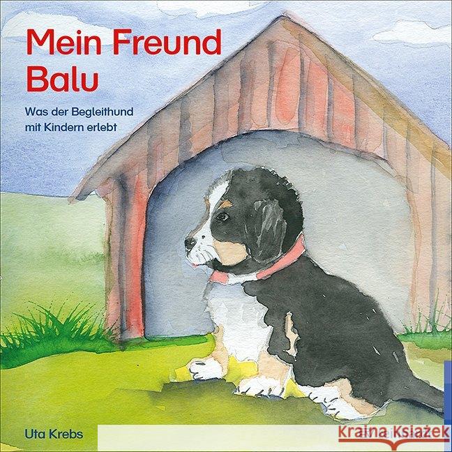 Mein Freund Balu : Was der Begleithund mit Kindern erlebt Krebs, Uta 9783497029495 Reinhardt, München - książka