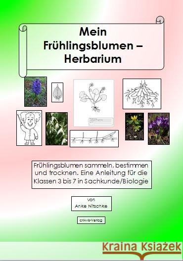 Mein Frühlingsblumen-Herbarium : Frühlingsblumen sammeln, bestimmen und trocknen. Ein Anleitung für die Klassen 3 bis 7 im Sachkunde/Biologie Nitschke, Anke 9783944341477 criAvis-Verlag - książka