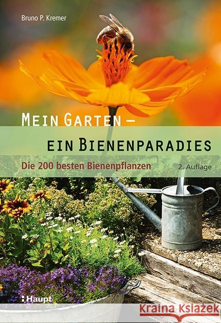 Mein Garten - ein Bienenparadies : Die 200 besten Bienenpflanzen Kremer, Bruno P. 9783258080741 Haupt - książka