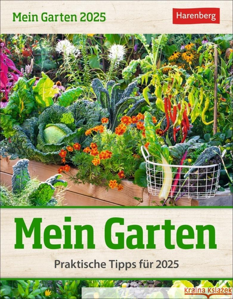 Mein Garten Tagesabreißkalender 2025 - Praktische Tipps für 2025 Thimm, Ulrich 9783840033278 Harenberg - książka