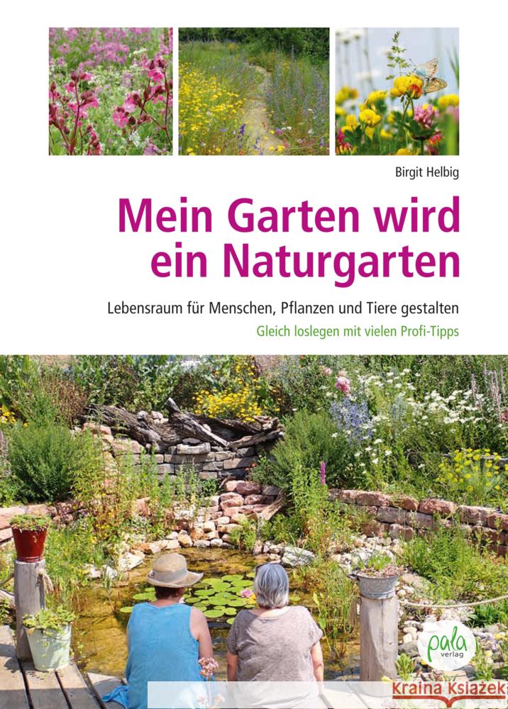 Mein Garten wird ein Naturgarten Helbig, Birgit 9783895664397 Pala-Verlag - książka