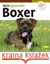 Mein gesunder Boxer : Der Ratgeber für ein langes Hundeleben. Topfit, kerngesund, aktiv Ackerman, Lowell Heigl, Marion Schmidt, Jürgen 9783800167791 Ulmer (Eugen) - książka