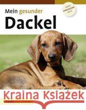 Mein gesunder Dackel : Ein Ratgeber für ein langes Hundeleben Ackerman, Lowell   9783800167814 Ulmer (Eugen) - książka