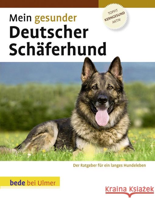 Mein gesunder Deutscher Schäferhund : Topfit, kerngesund, aktiv Ackerman, Lowell   9783800167760 Bede - książka