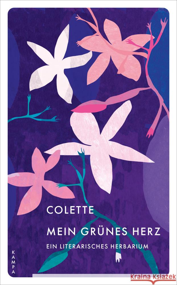 Mein grünes Herz Colette, Sidonie-Gabrielle 9783311151395 Kampa Verlag - książka