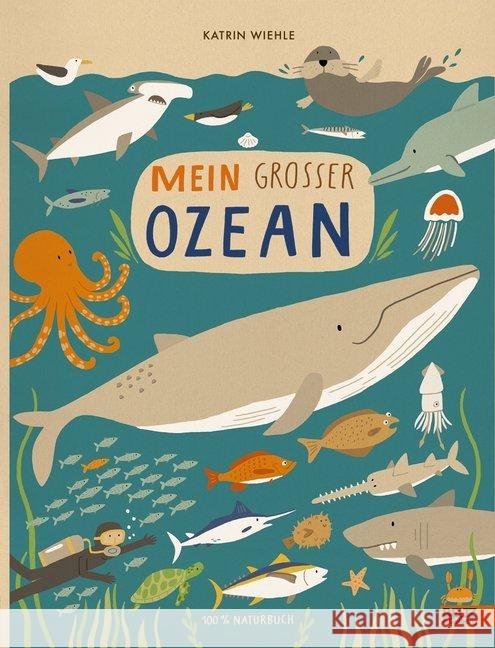Mein großer Ozean : 100 % Naturbuch Wiehle, Katrin 9783407812209 Beltz - książka