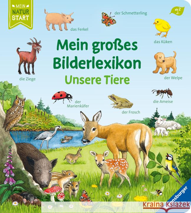 Mein großes Bilderlexikon: Unsere Tiere Gernhäuser, Susanne 9783473416783 Ravensburger Verlag - książka