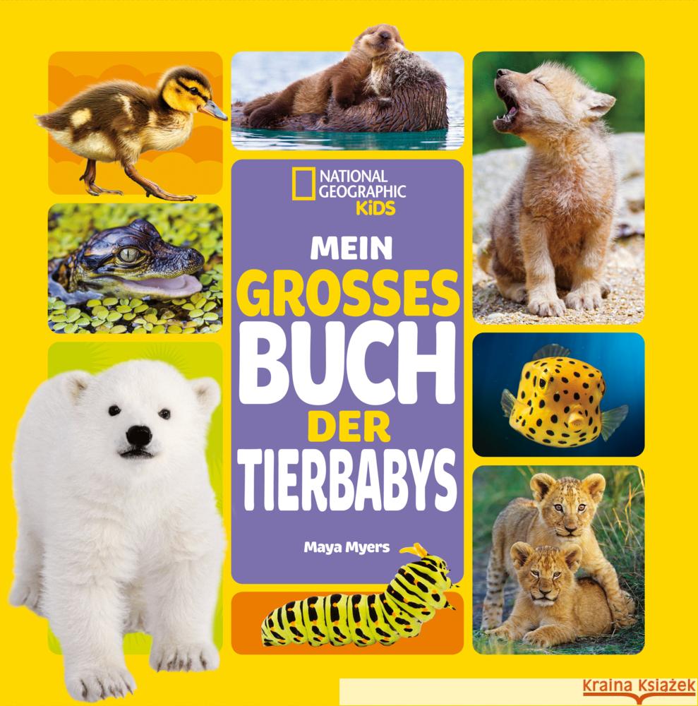 Mein großes Buch der Tierbabys Myers, Maya 9788863125412 White Star - książka