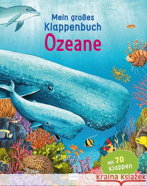 Mein großes Klappenbuch - Ozeane Ganeri, Anita 9783741525384 Ullmann Medien - książka