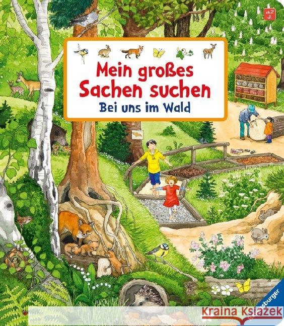 Mein großes Sachen suchen: Bei uns im Wald Gernhäuser, Susanne 9783473438433 Ravensburger Buchverlag - książka