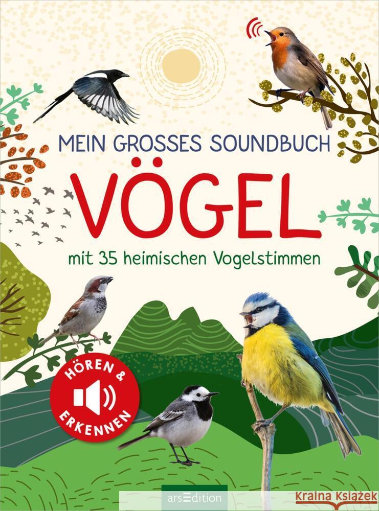 Mein großes Soundbuch Vögel Wagner, Eva 9783845852669 ars edition - książka