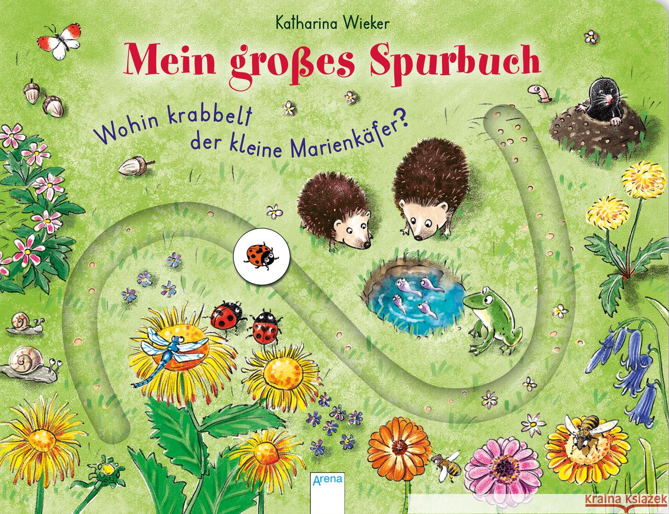 Mein großes Spurbuch - Wohin krabbelt der kleine Marienkäfer? Wieker, Katharina 9783401713885 Arena - książka