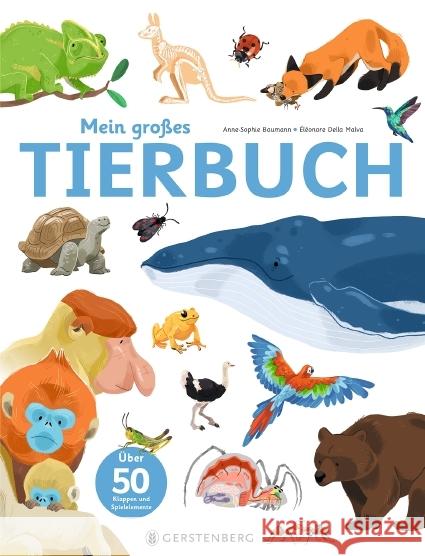 Mein großes Tierbuch Baumann, Anne-Sophie 9783836961325 Gerstenberg Verlag - książka