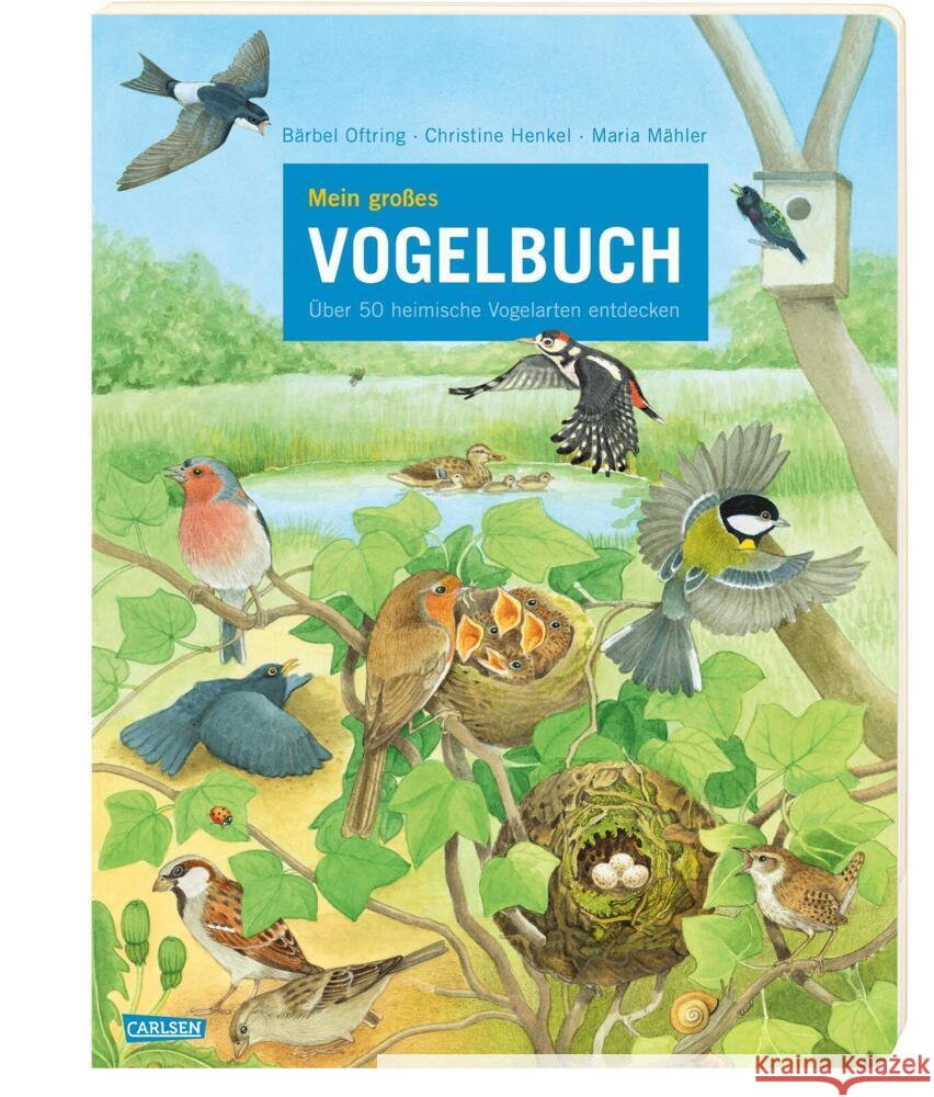 Mein großes Vogelbuch Oftring, Bärbel 9783551255013 Carlsen - książka