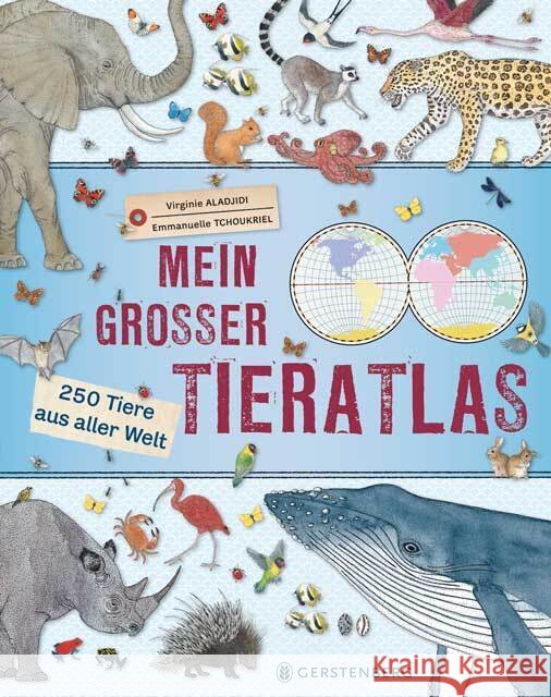 Mein großer Tieratlas : 250 Tiere aus aller Welt Aladjidi, Virginie 9783836958110 Gerstenberg Verlag - książka