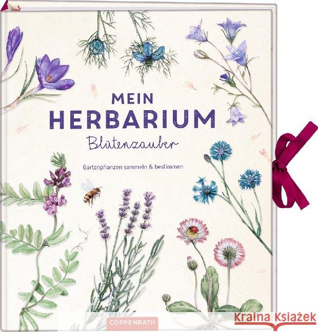 Mein Herbarium: Blütenzauber : Gartenpflanzen sammeln und bestimmen Zysk, Stefanie 9783649630074 Coppenrath, Münster - książka