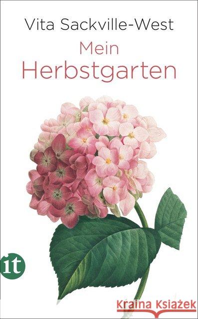 Mein Herbstgarten Sackville-West, Vita 9783458364368 Insel Verlag - książka