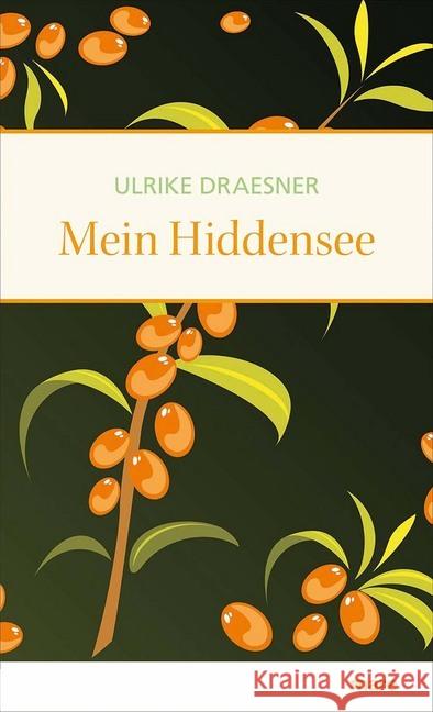 Mein Hiddensee : Ausgezeichnet mit dem ITB BuchAward in der Kategorie Das literarische Reisebuch 2016 Draesner, Ulrike 9783866482135 mareverlag - książka