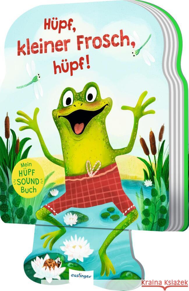 Mein Hüpf-Sound-Buch Orso, Kathrin Lena 9783480239603 Esslinger in der Thienemann-Esslinger Verlag  - książka