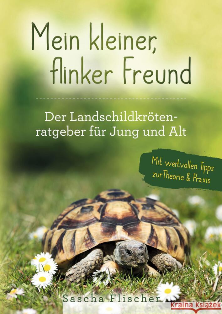 Mein kleiner, flinker Freund - Der Landschildkrötenratgeber für Jung und Alt mit wertvollen Tipps zur Theorie und Praxis Flischer, Sascha 9789403607139 Bookmundo - książka