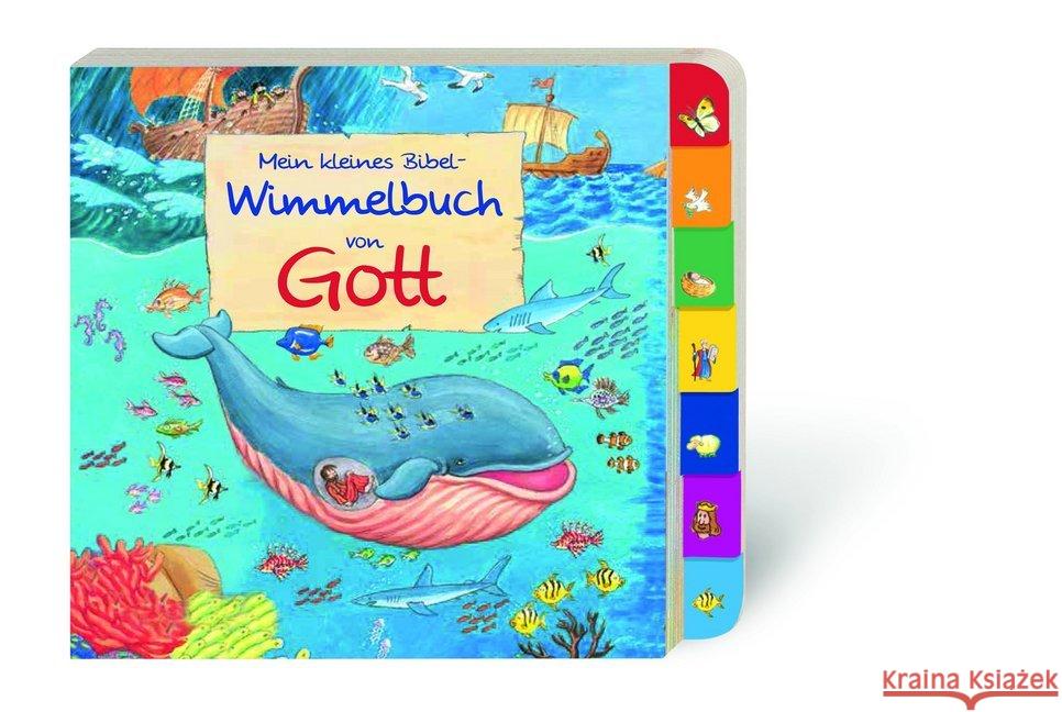 Mein kleines Bibel-Wimmelbuch von Gott Abeln, Reinhard 9783438042088 Butzon & Bercker - książka