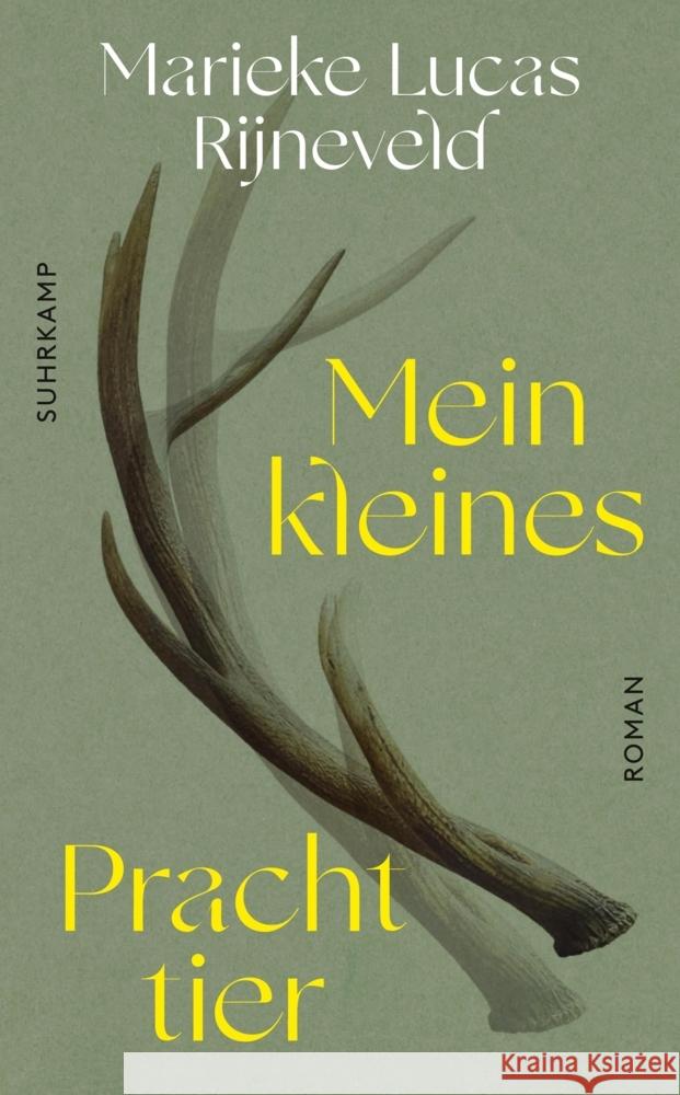 Mein kleines Prachttier Rijneveld, Marieke Lucas 9783518473160 Suhrkamp - książka