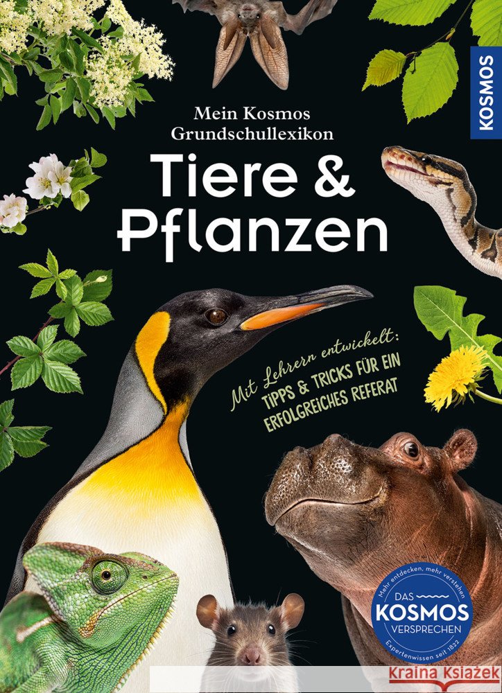 Mein Kosmos Grundschullexikon Tiere & Pflanzen Sokolowski, Ilka 9783440182420 Kosmos (Franckh-Kosmos) - książka