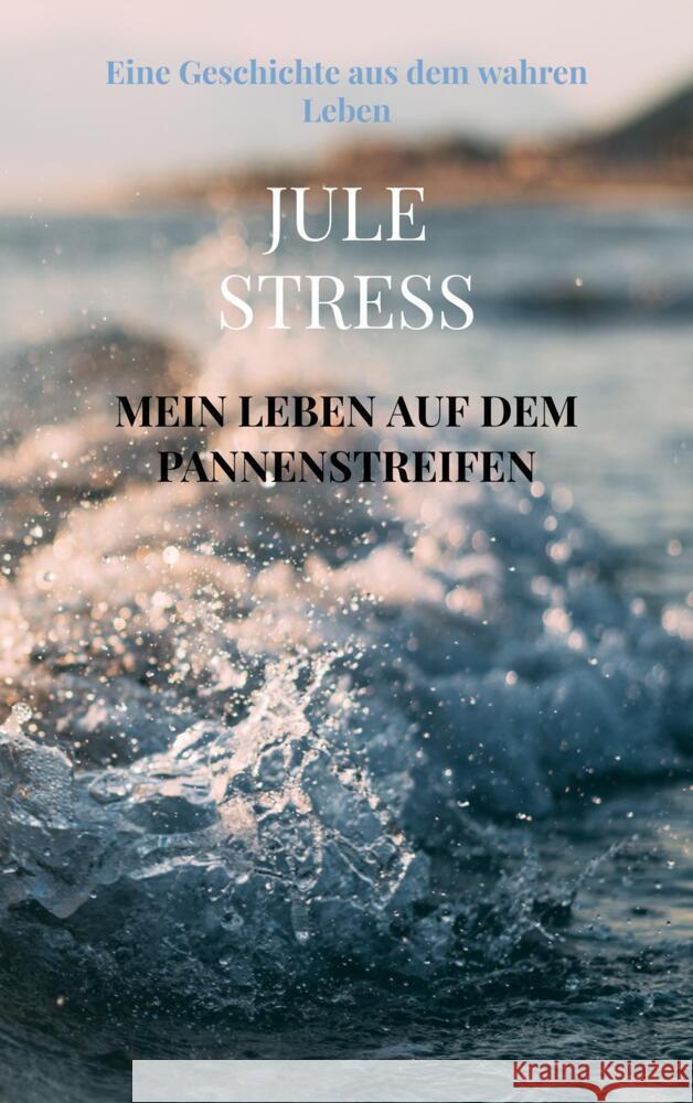 Mein Leben auf dem Pannenstreifen Stress, Jule 9789403705408 Bookmundo - książka