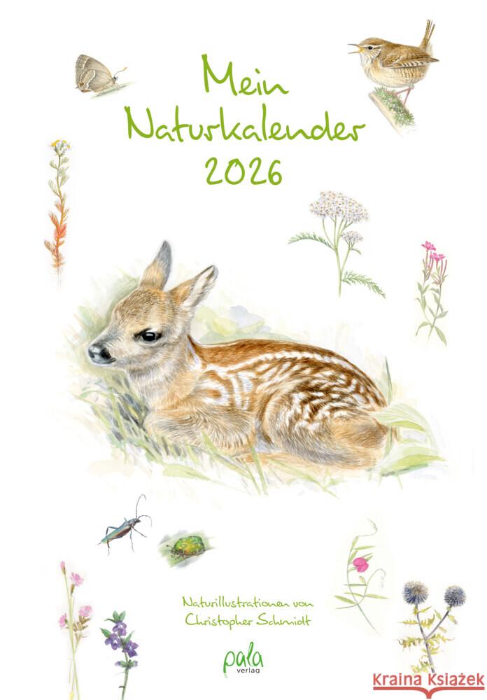 Mein Naturkalender 2026 Schmidt, Christopher 9783895664465 Pala-Verlag - książka
