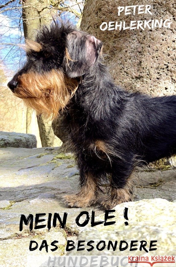 Mein Ole : Das besondere Hundebuch Oehlerking, Peter 9783750200760 epubli - książka