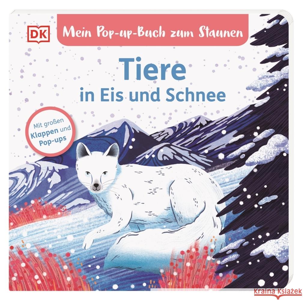 Mein Pop-up-Buch zum Staunen. Tiere in Eis und Schnee Grimm, Sandra 9783831049776 Dorling Kindersley Verlag - książka