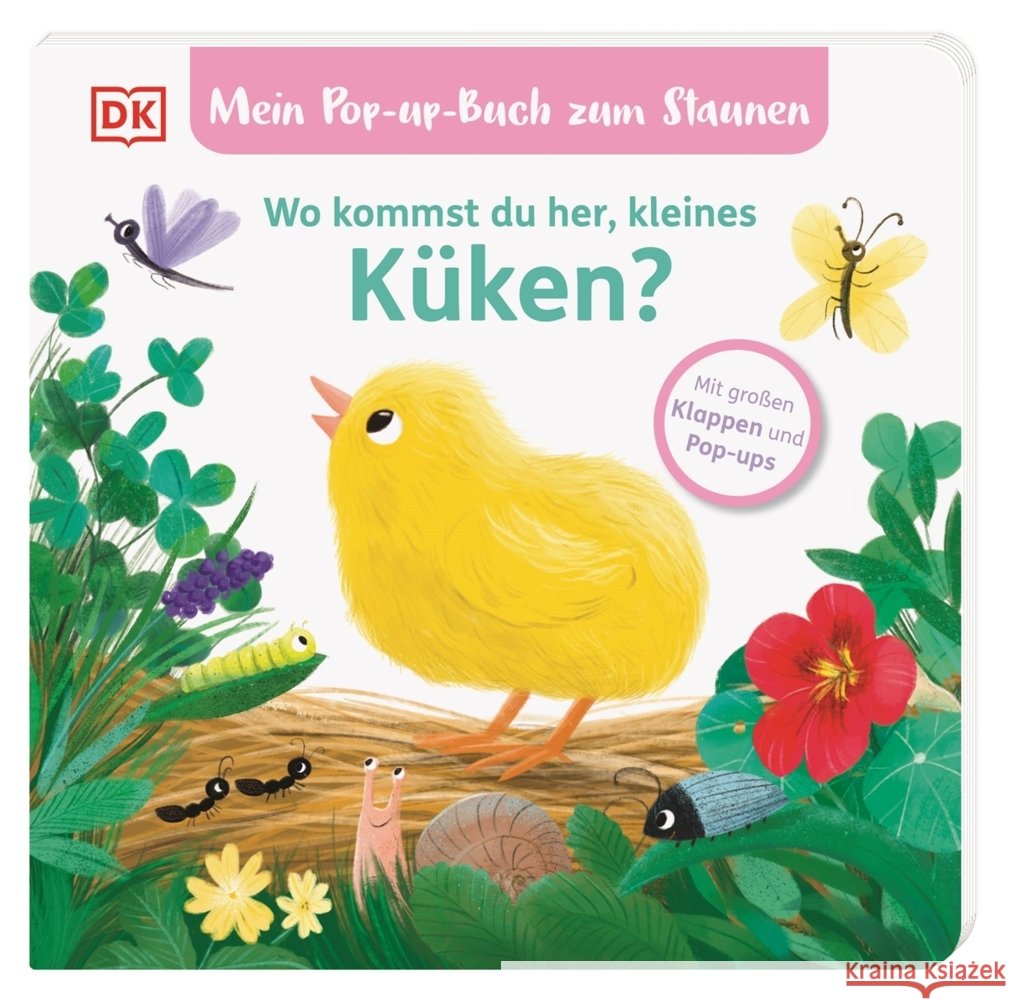 Mein Pop-up-Buch zum Staunen. Wo kommst du her, kleines Küken? Grimm, Sandra 9783831053070 Dorling Kindersley Verlag - książka