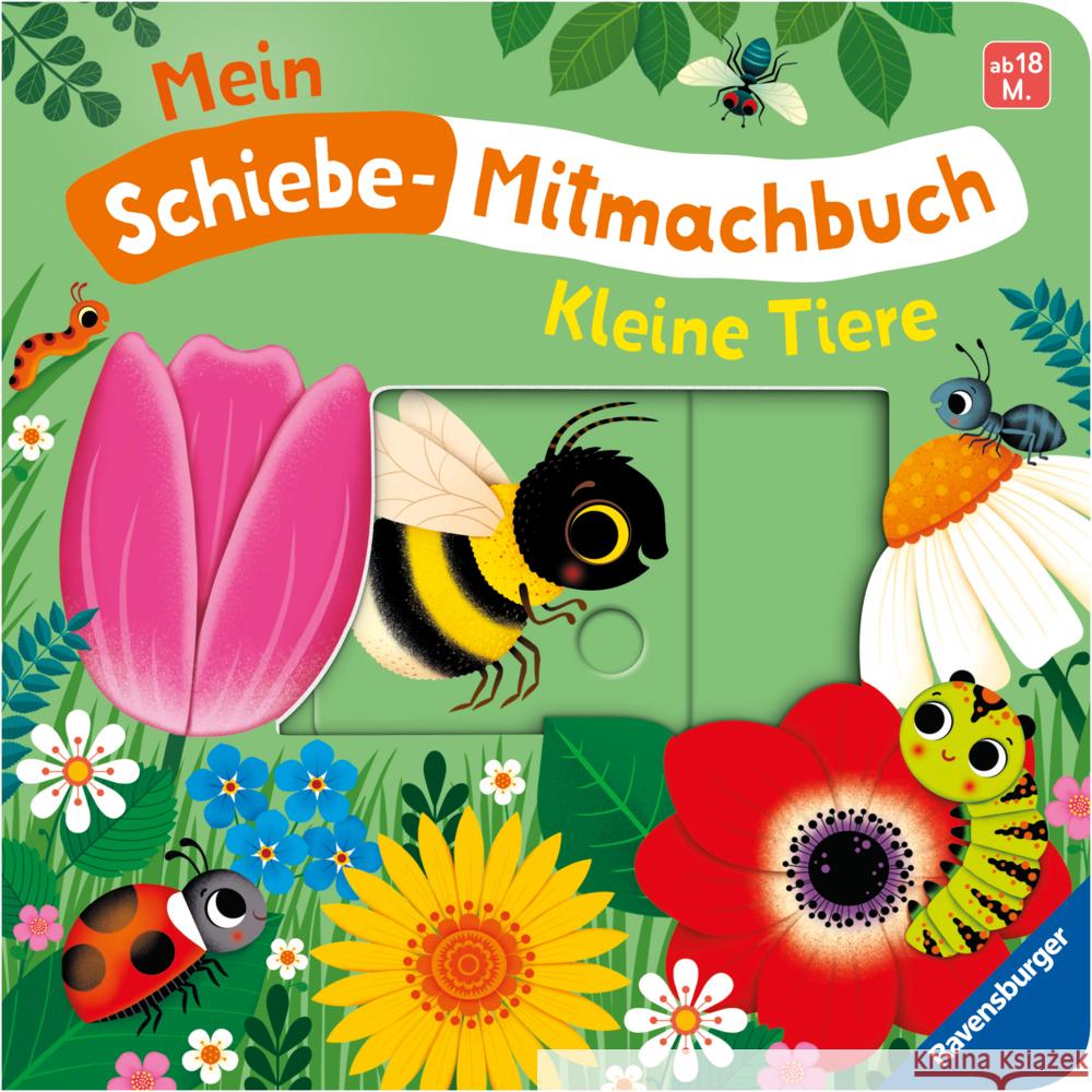 Mein Schiebe-Mitmachbuch - Kleine Tiere Penners, Bernd 9783473421237 Ravensburger Verlag - książka