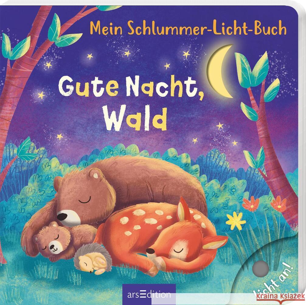 Mein Schlummer-Licht-Buch: Gute Nacht, Wald Höck, Maria 9783845859637 ars edition - książka