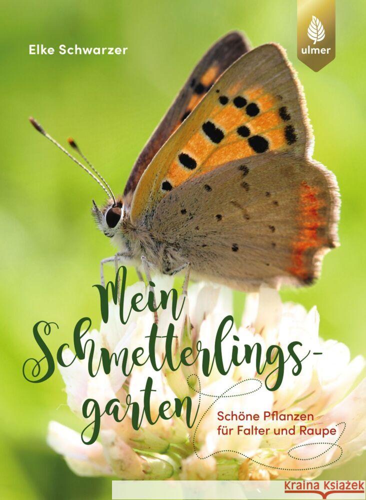 Mein Schmetterlingsgarten Schwarzer, Elke 9783818616342 Verlag Eugen Ulmer - książka