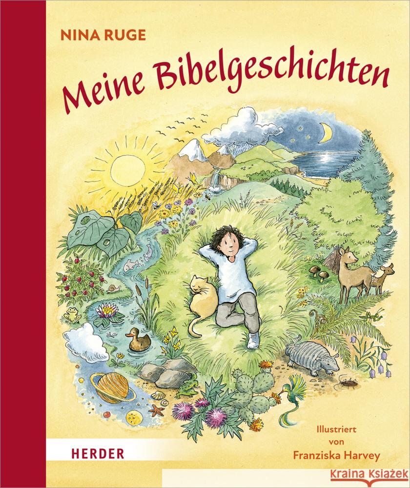 Meine Bibelgeschichten Ruge, Nina 9783451716157 Herder, Freiburg - książka