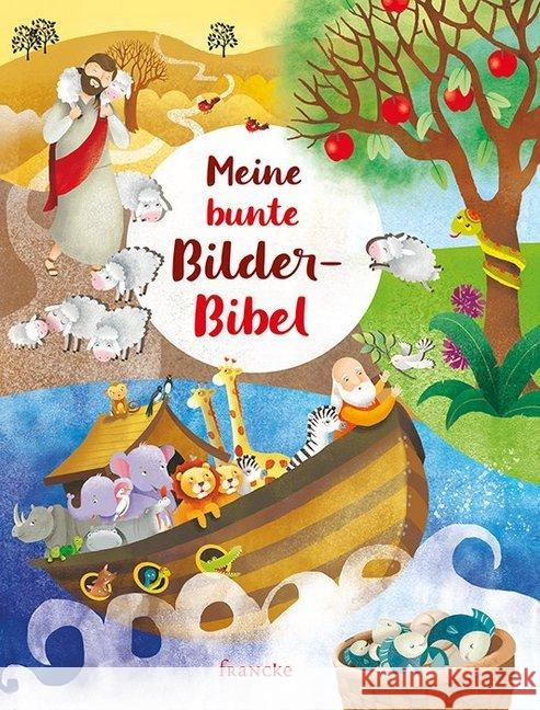 Meine bunte Bilder-Bibel Cima, Lodovica 9783963621116 Francke-Buchhandlung - książka