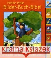 Meine erste Bilder-Buch-Bibel Biehl, Pia Arndt, Judith  9783460242340 Katholisches Bibelwerk - książka