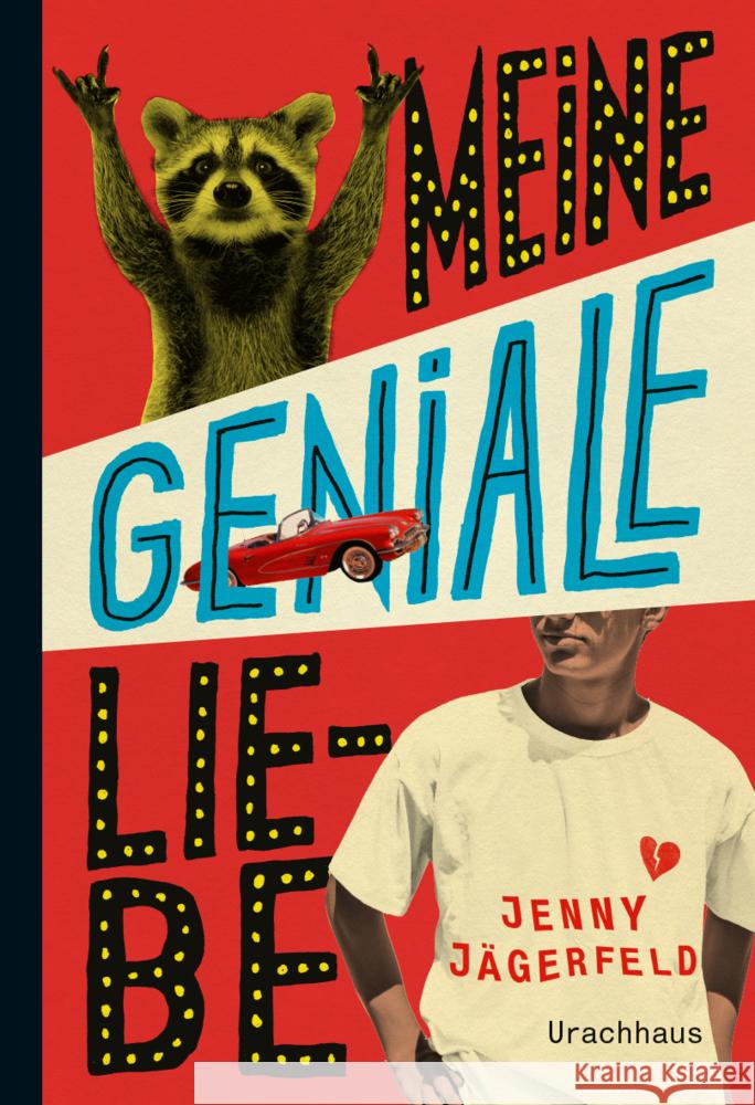 Meine geniale Liebe Jägerfeld, Jenny 9783825153410 Urachhaus - książka