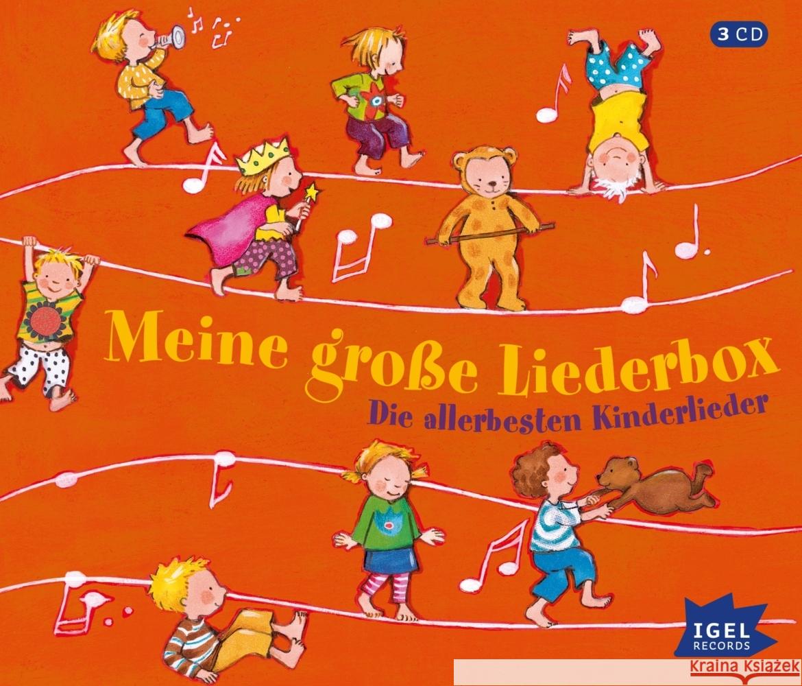 Meine große Liederbox Mika, Rudi 4065713000019 Igel Records - książka