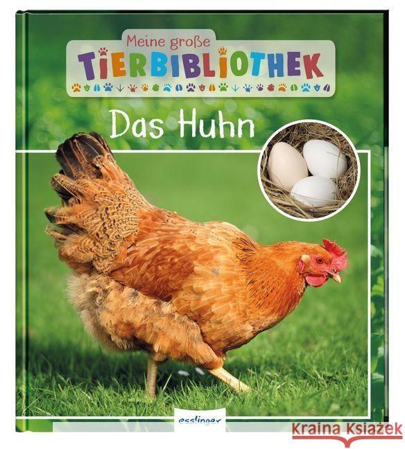 Meine große Tierbibliothek: Das Huhn Havard, Christian; Tracqui, Valérie 9783480236183 Esslinger in der Thienemann-Esslinger Verlag  - książka